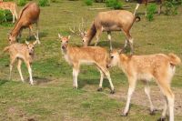 微信图片_20250619095840