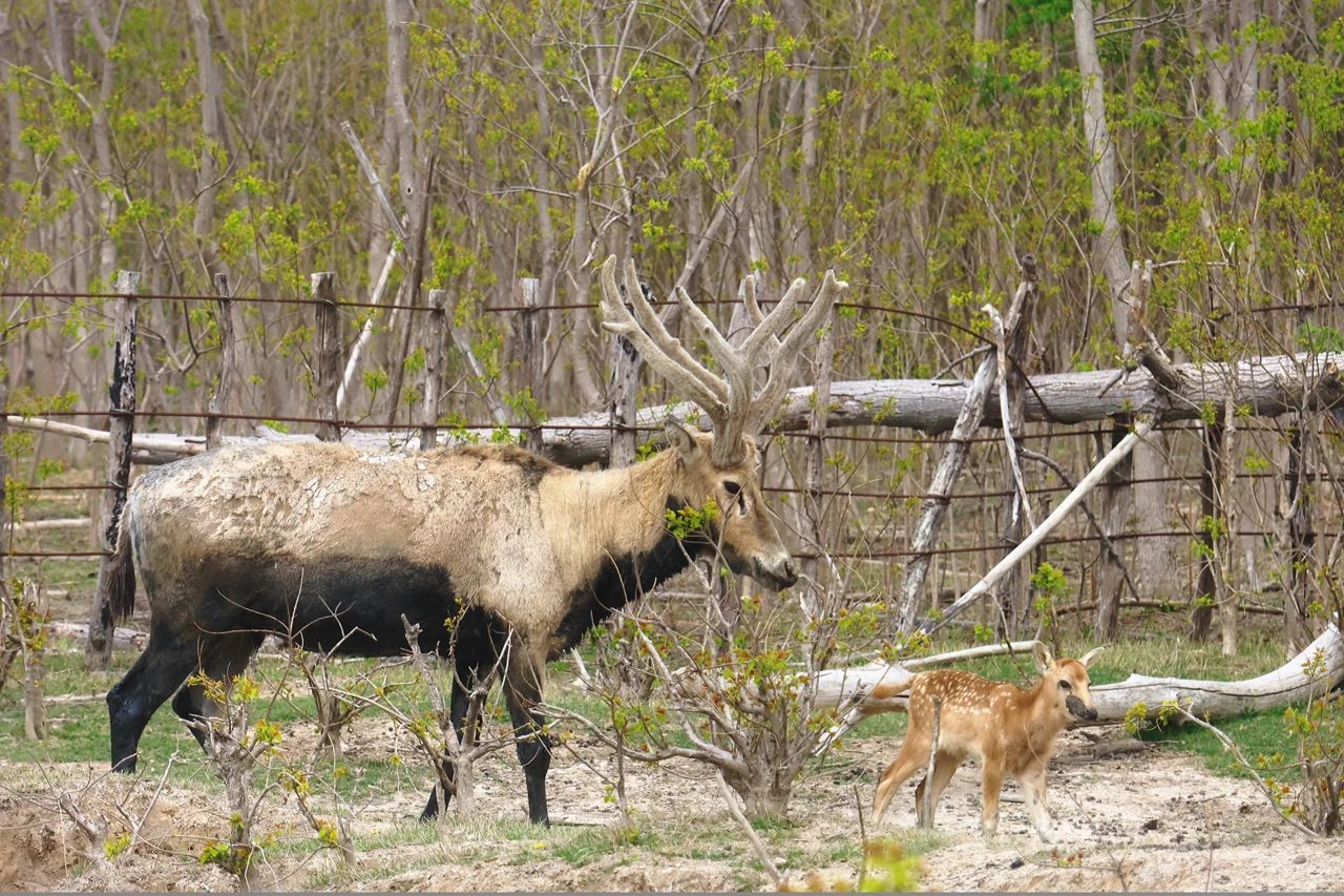 微信图片_20250619095844