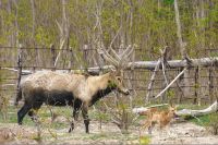 微信图片_20250619095844