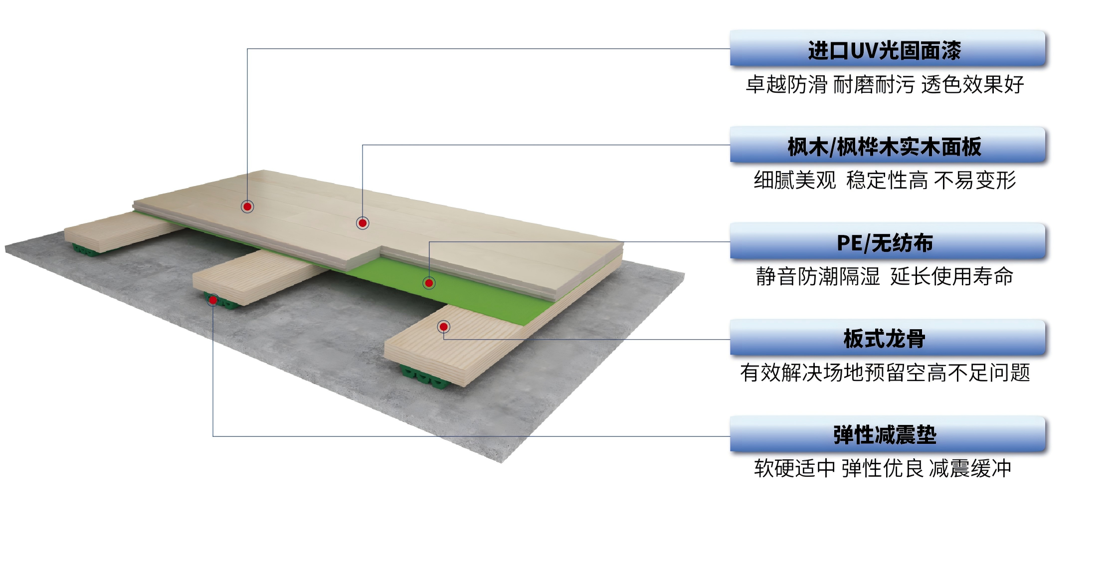 板式龙骨-运动木地板剖析图