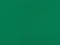 5.0mm绿色LOGO纹运动地胶