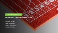 无溶剂全塑自结纹型塑胶跑道