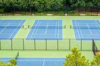 羽毛球丙烯酸地面-2