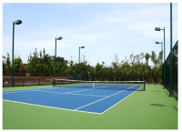 羽毛球硅pu场地-1