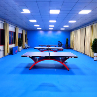 乒乓球PVC地面-2