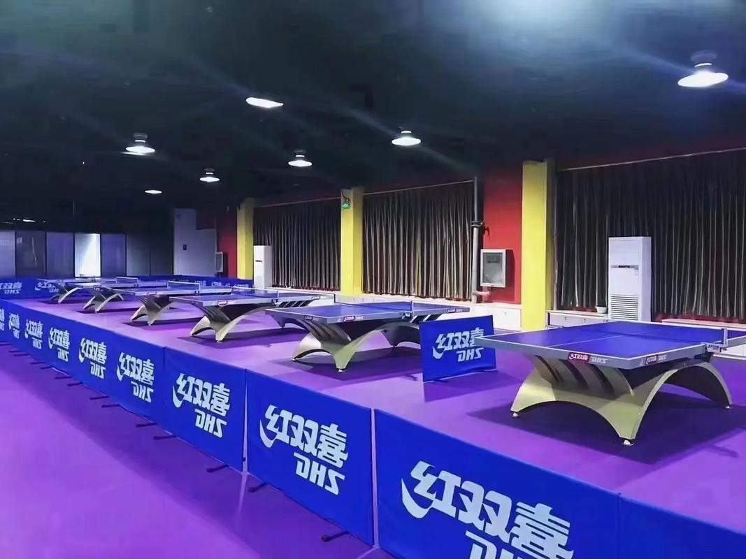 乒乓球运动设施