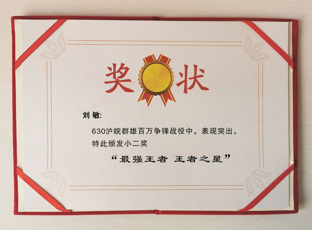 霍迹寻踪-刘敏
