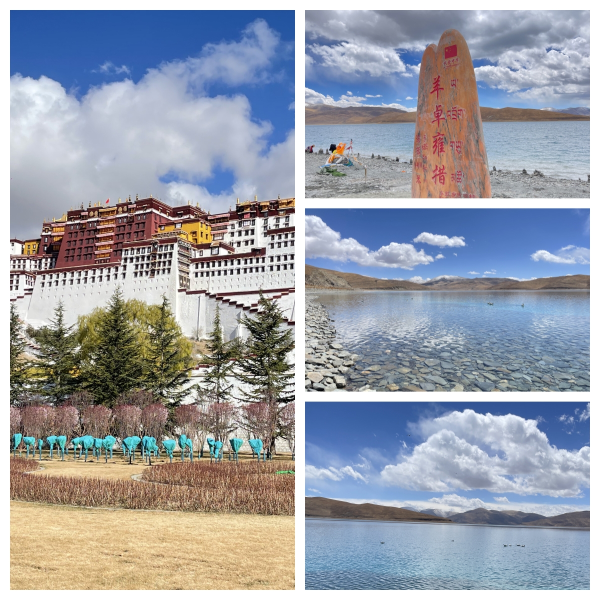 此生必驾318，圆梦之旅-2-318-318圆梦之旅-11