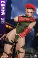 CAMMY_全部官图-DSC05144
