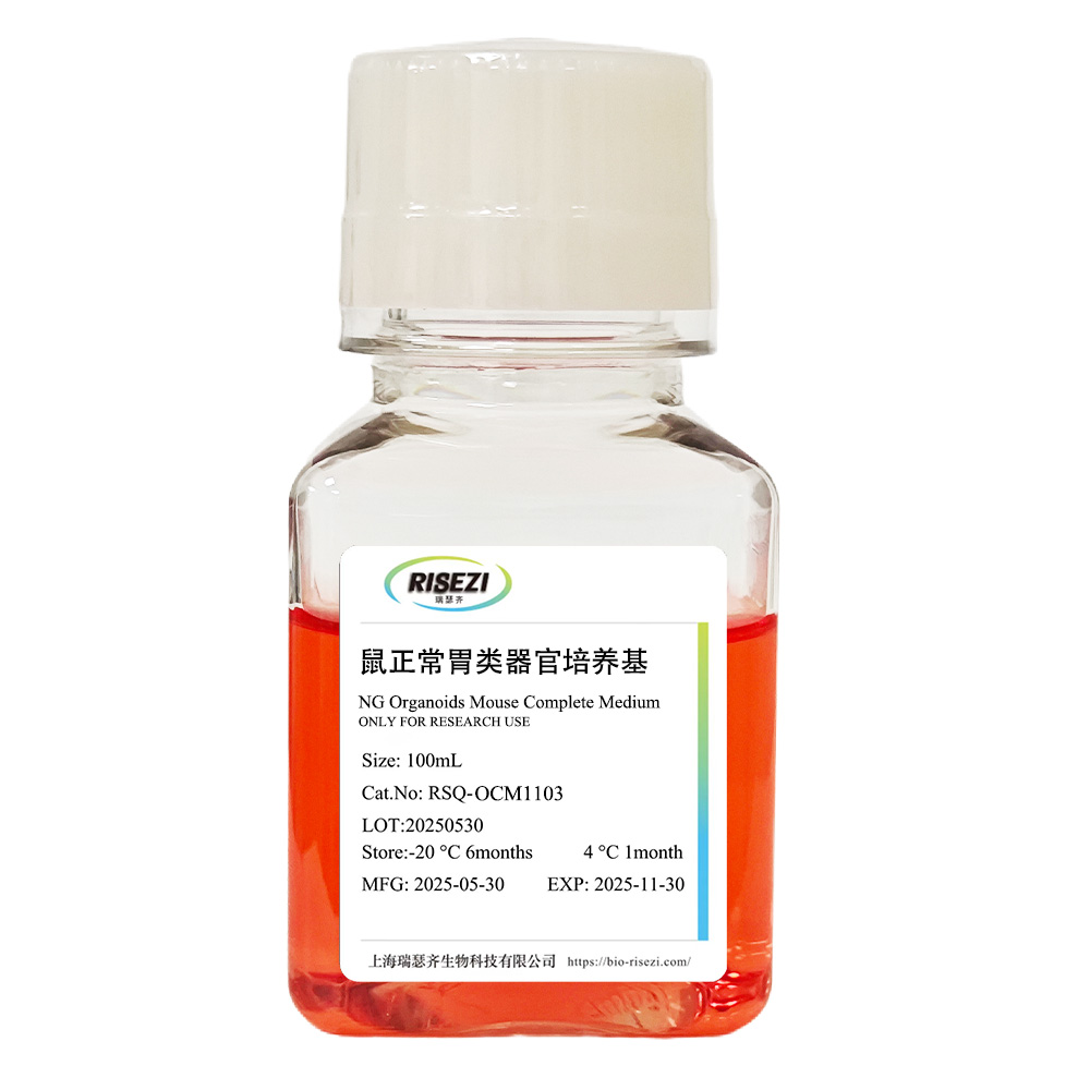 小鼠胃-100ml