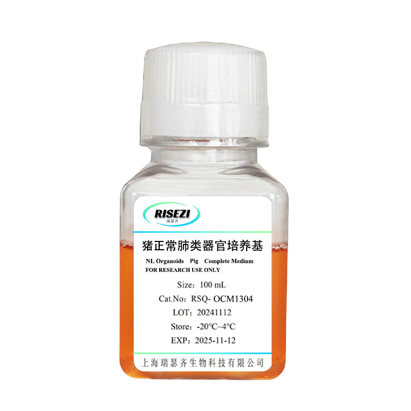猪肺-100