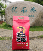 特惠装_化石林2_宽度750px