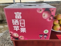 施甸佳霖农业富硒苹果图片-施甸佳霖富硒苹果-01