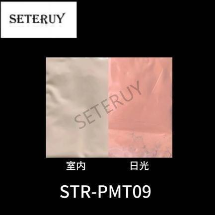 STR-PMT09