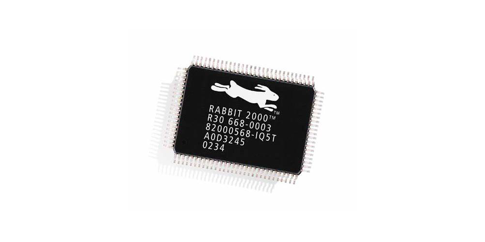 rabbit2000