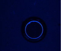 3C行业：电器喇叭上面胶水-紫外环形光