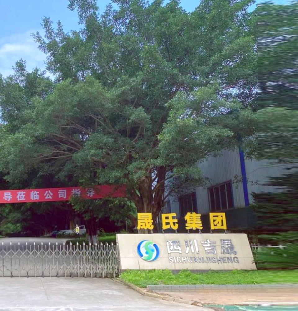 晟妆集团背景