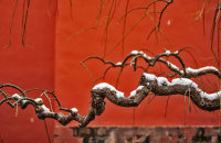 cc5545bfca7c05842d683aa3873afb8d