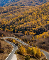 阿勒泰大草原4A级景区（阿禾公路精品旅