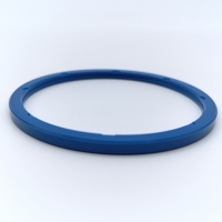 ROI-2
