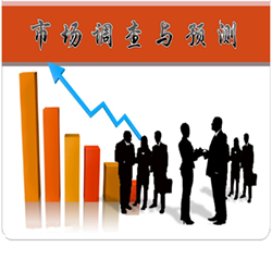 市场调查与预测服务