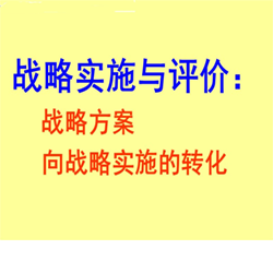 战略实施与评价服务