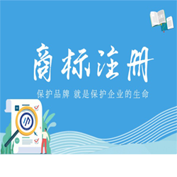 商标注册与版权代理服务