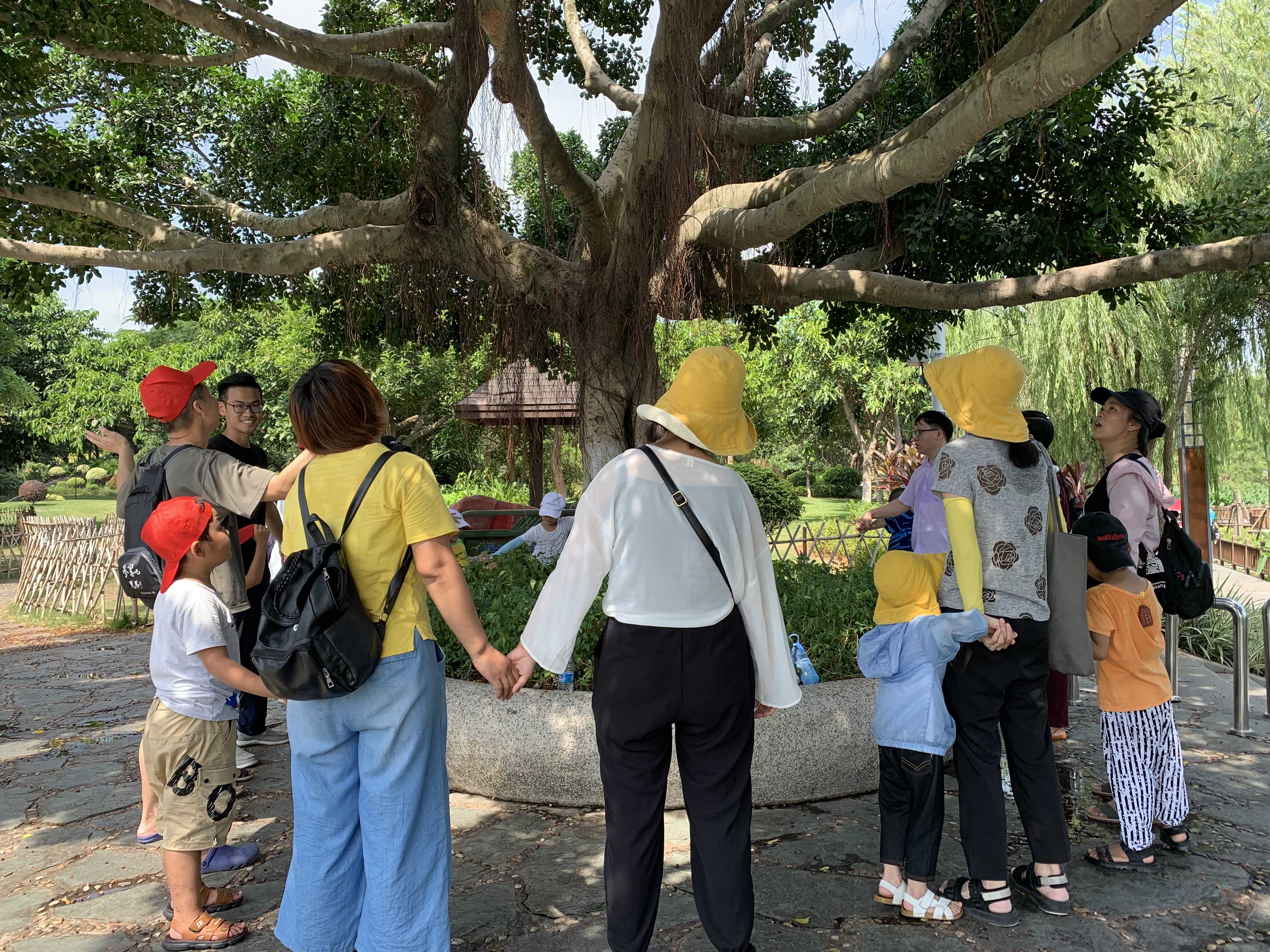 家庭园艺治疗/自然疗愈