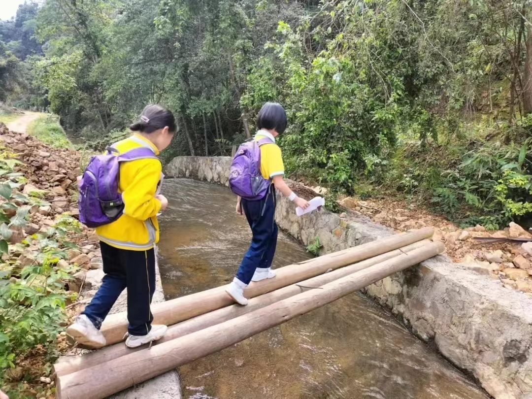 自然教育研学活动