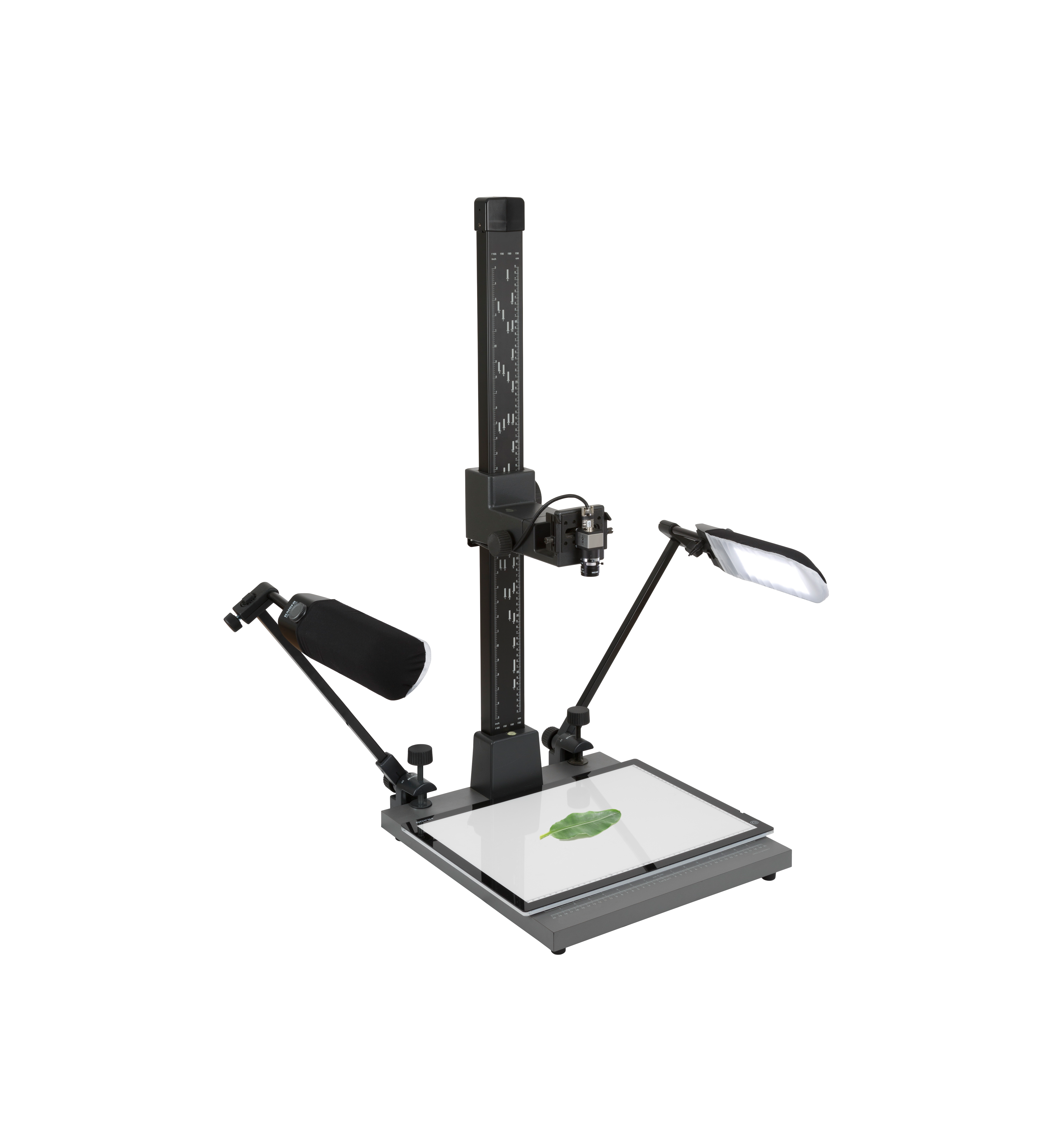 WinDIASStandardSystem