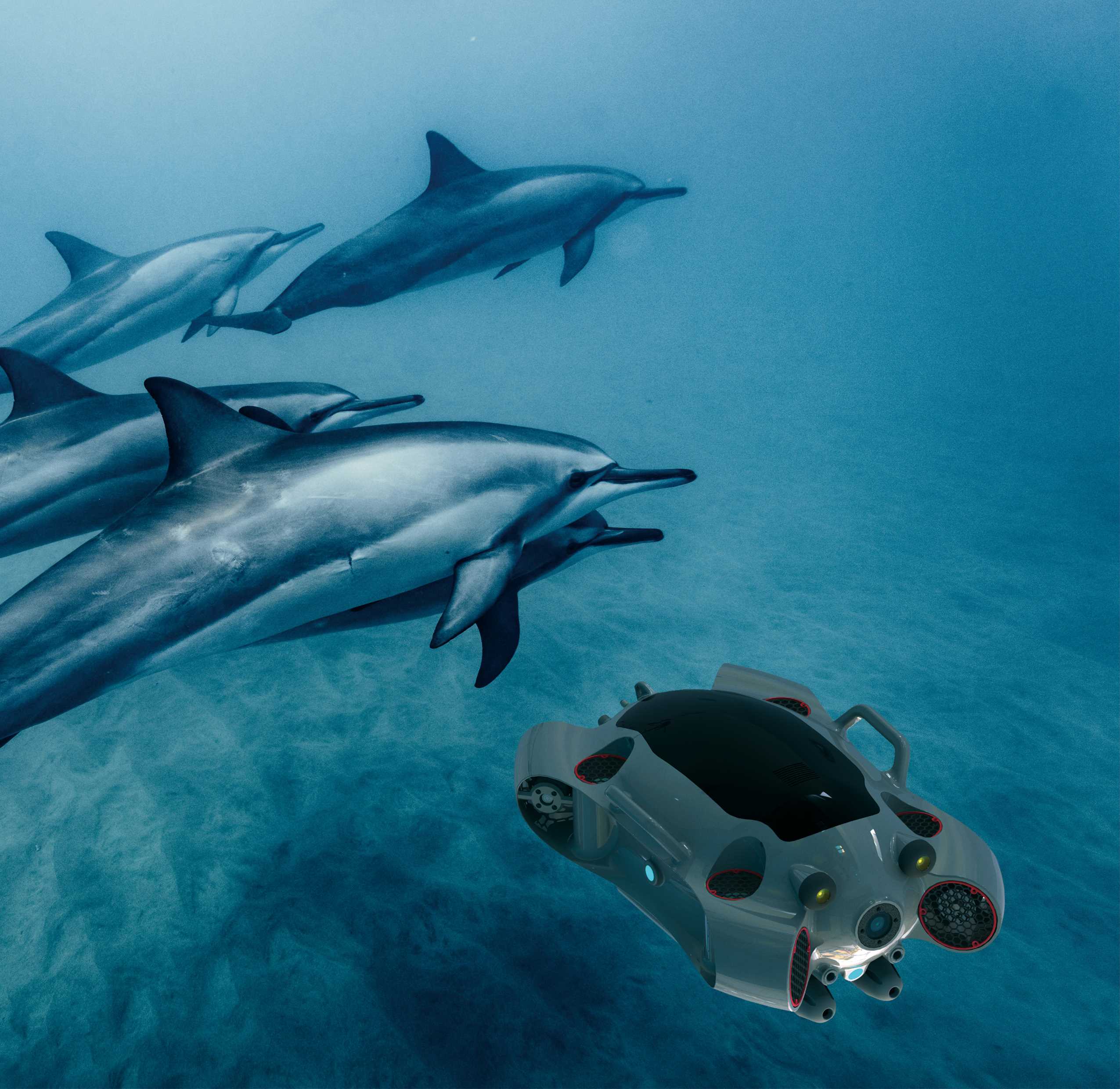 纯图-无文字版-海鹰-纯图-水下捕鱼-