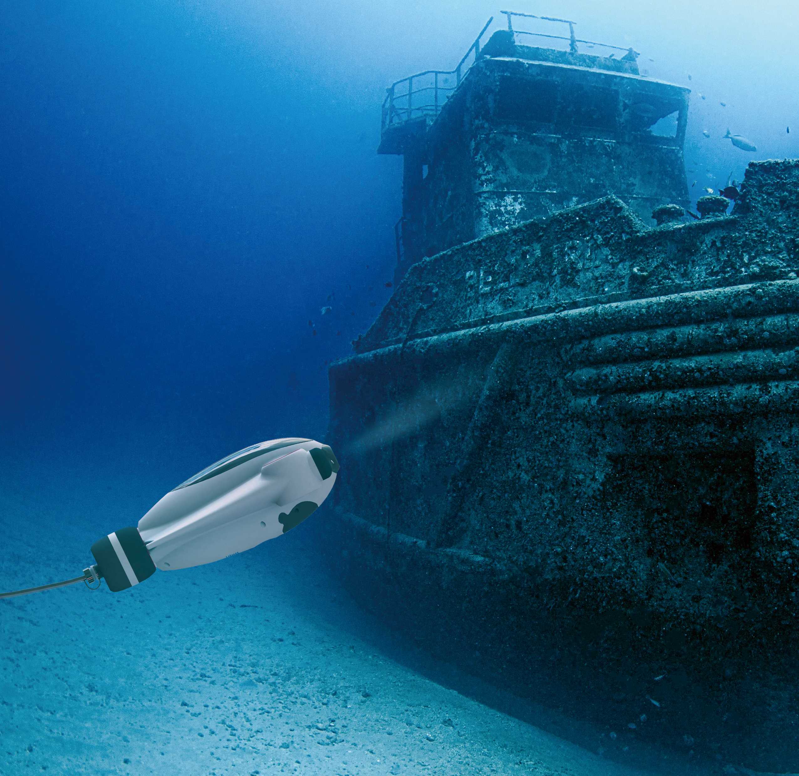 纯图-无文字版-海雀-纯图-水下探索