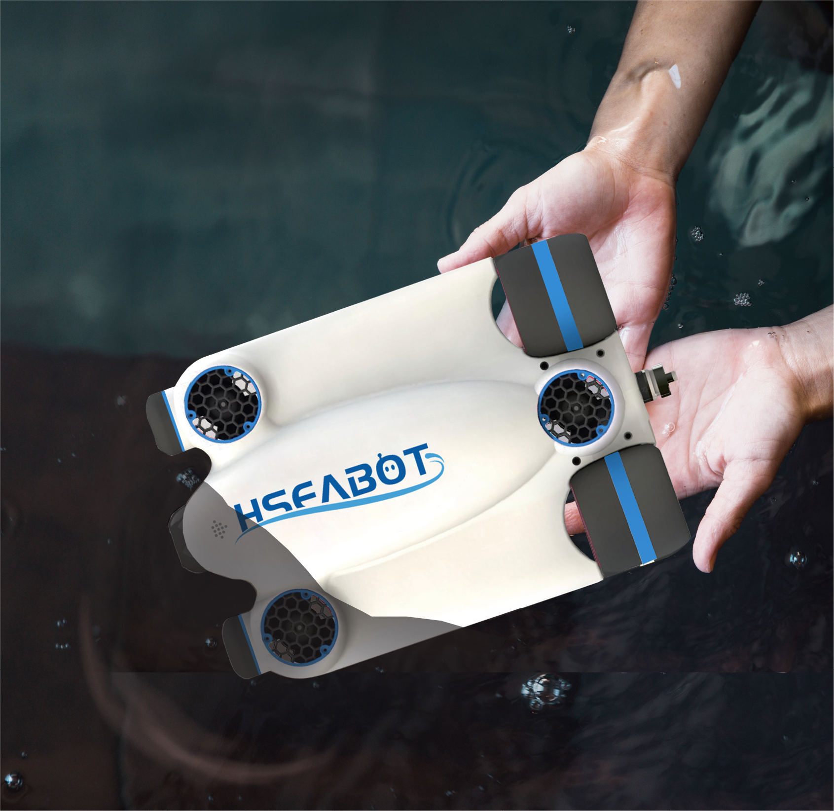 1.海雀图片更新-海雀-小巧