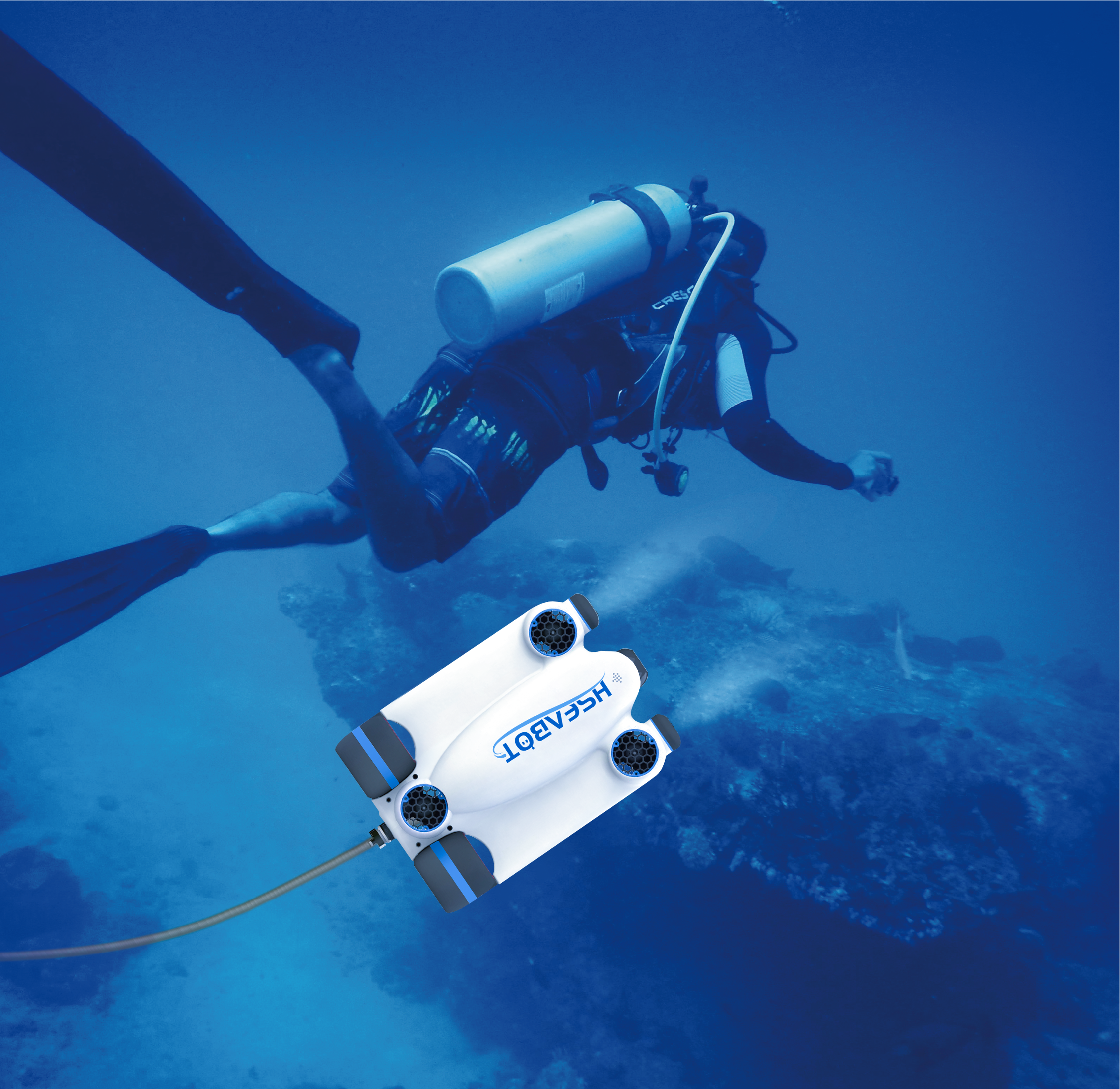 1.海雀图片更新-海雀-跟拍