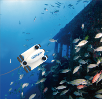 1.海雀图片更新-海雀-鱼群