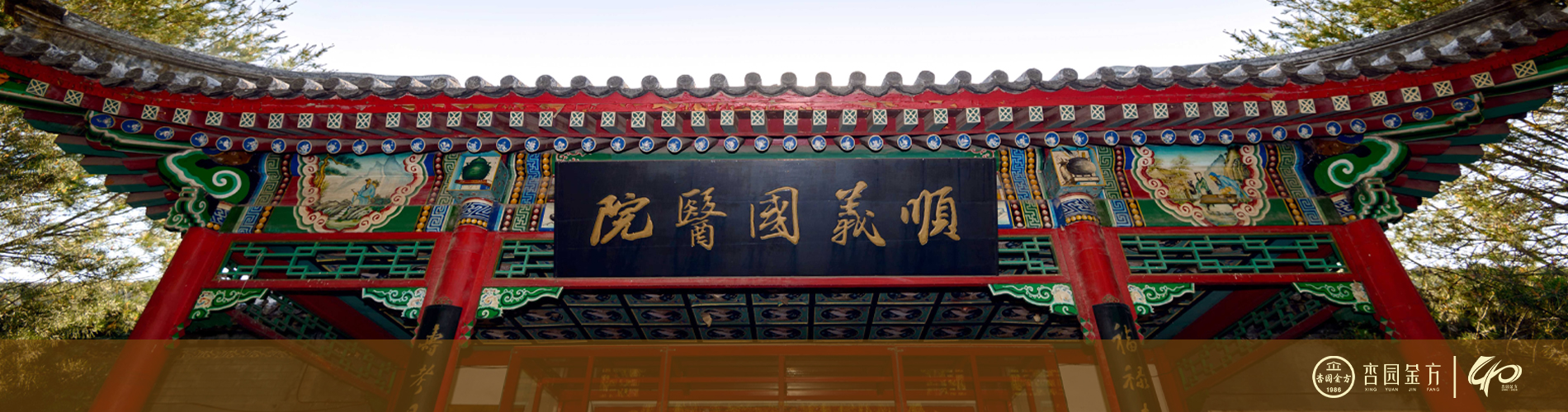 杏园金方首页