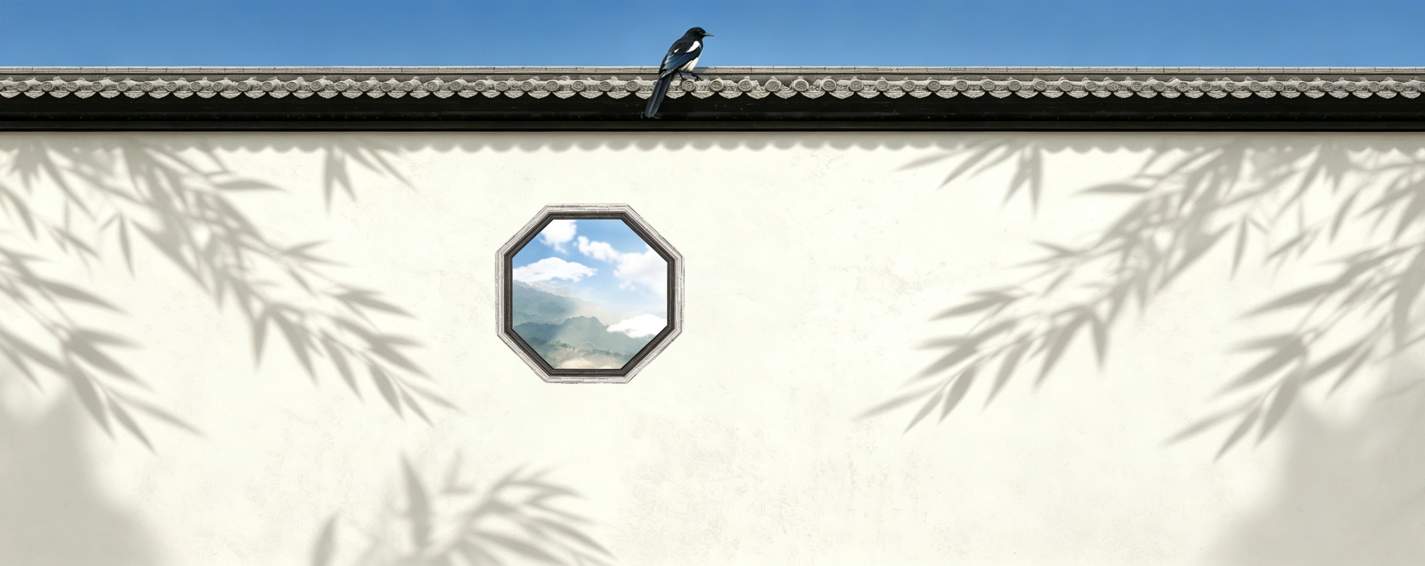 banner背景