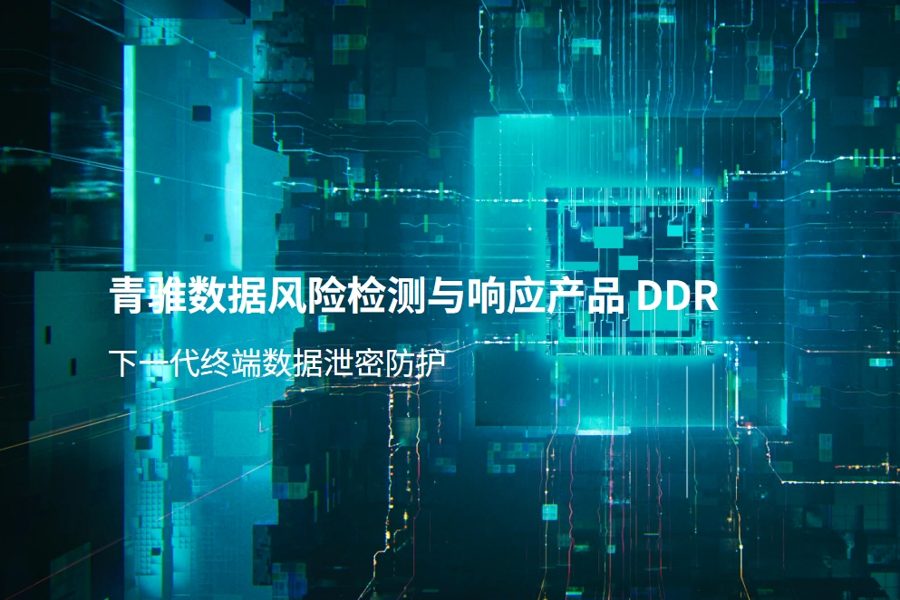 青雉数据风险检测与相应DDR-薮猫