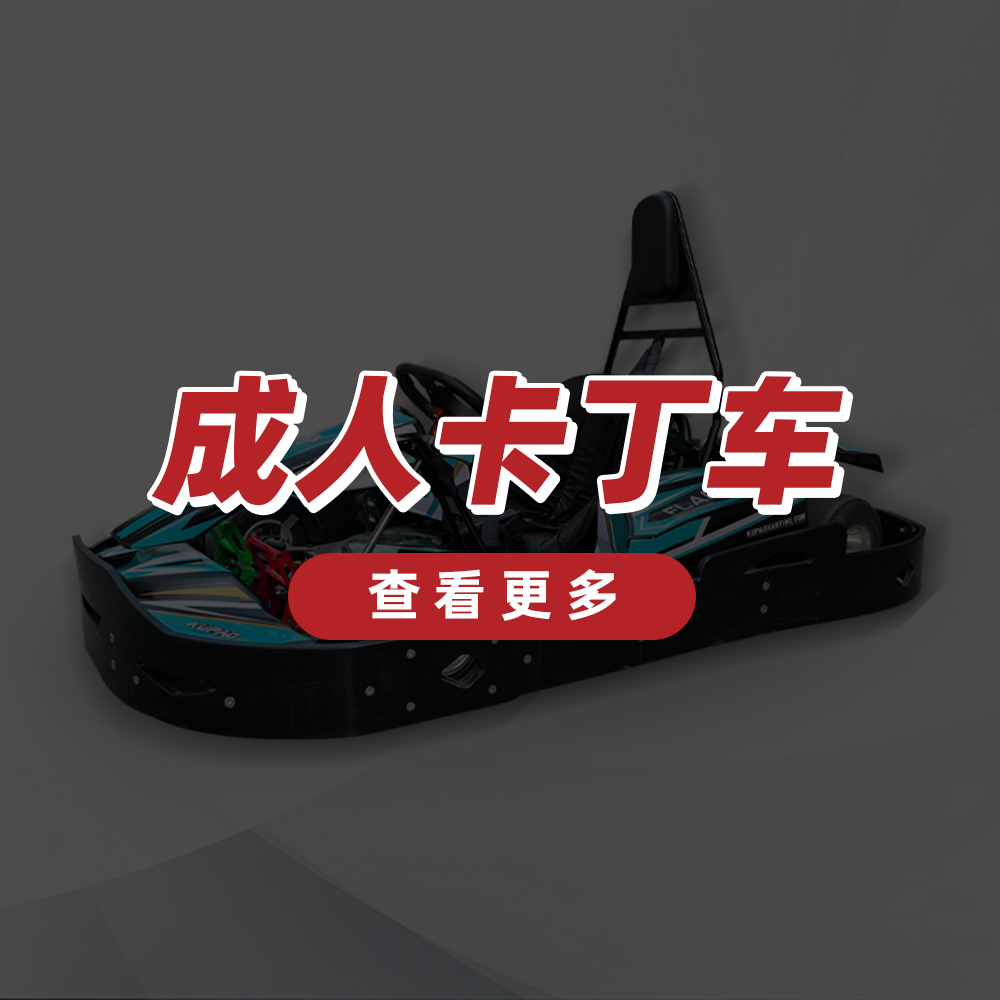 成人卡丁车