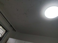 微信图片_20260718220754_20534_83