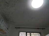 微信图片_20260718220756_20536_83