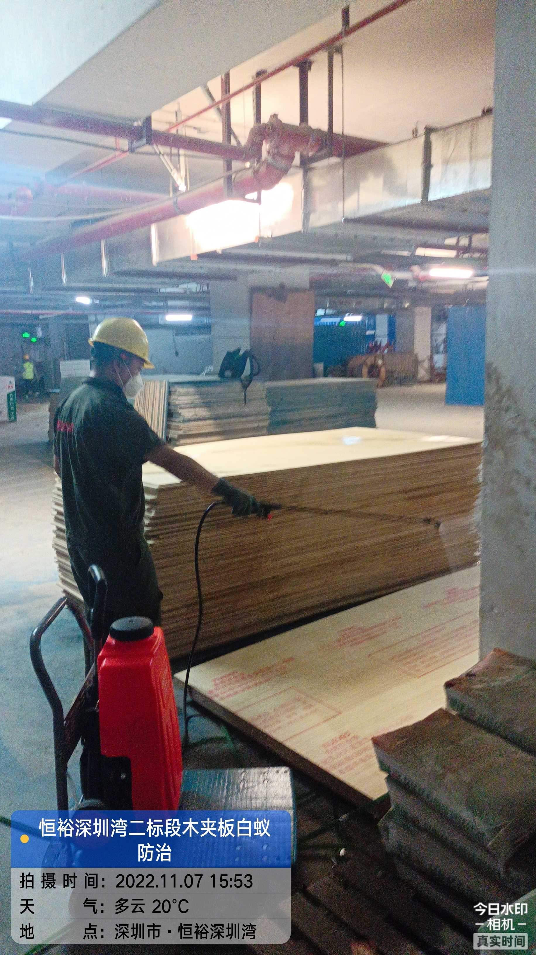 恒裕深圳湾白蚁防治现场无码-4c2dd34039cabc34cdecc5ba84badfe