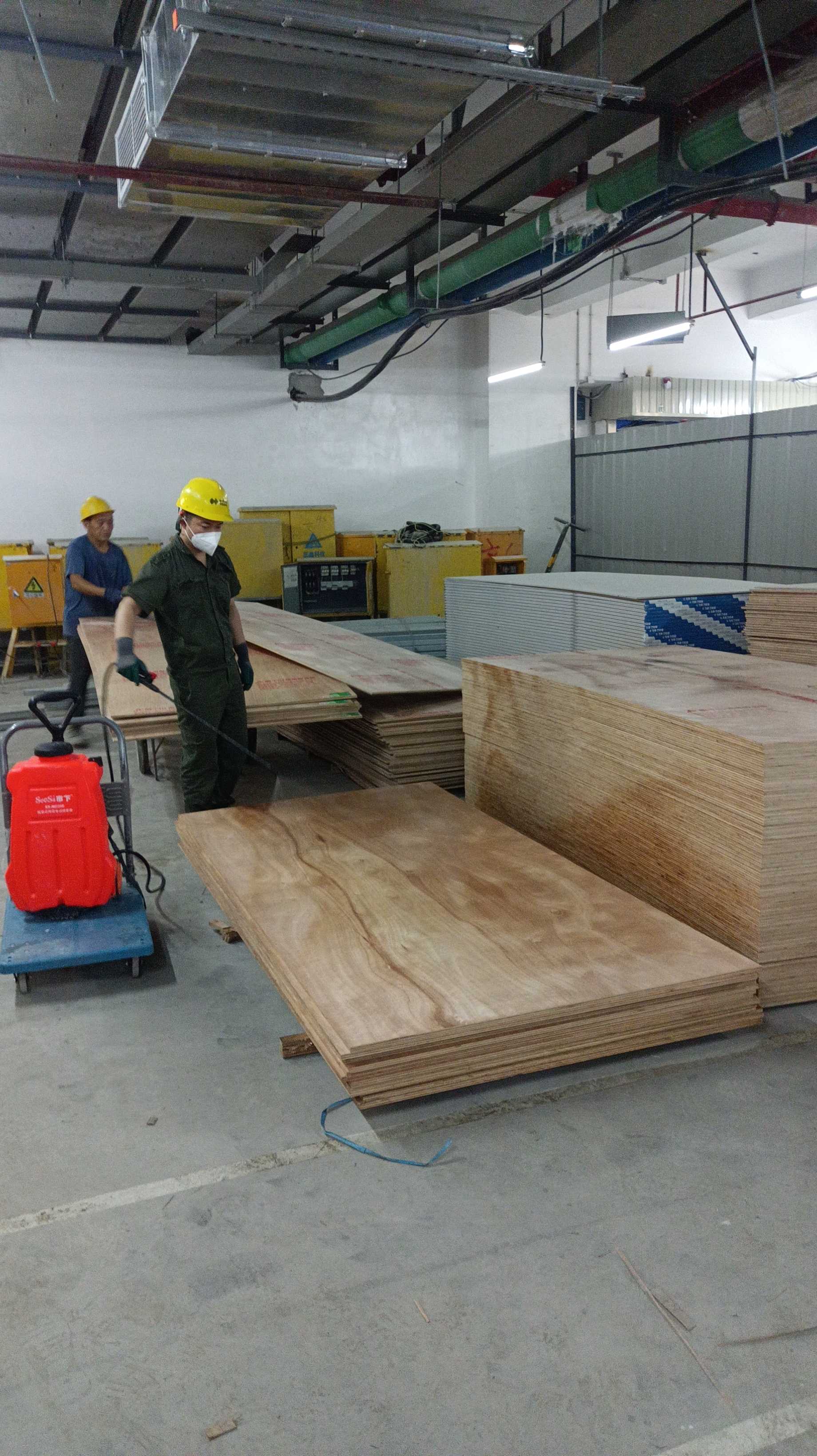 恒裕深圳湾白蚁防治现场无码-58e030547caa6ece2b5c78c21722ea8