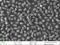 微信图片_20250826144258