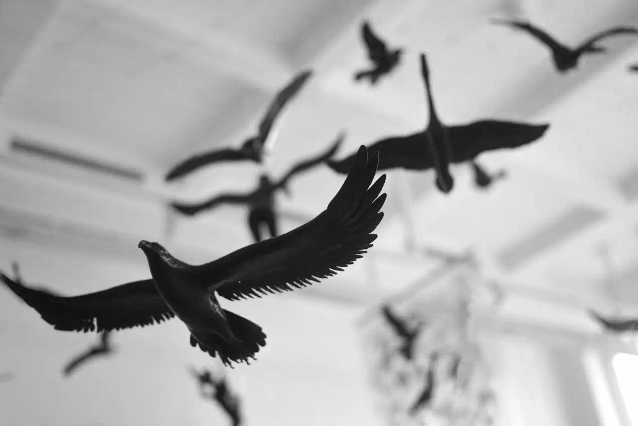 2016.04.09-2016.05.18