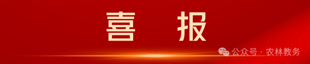 喜报.png