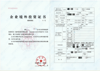 深圳公司—境外投资ODI香港公司