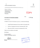 香港2家公司财务审计