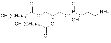 二硬脂酰基磷脂酰乙醇胺1.png