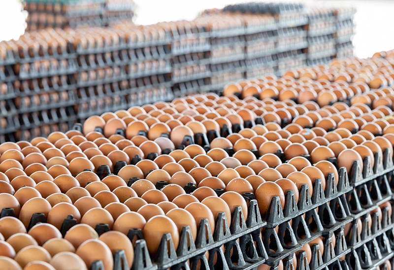 上小学的时候，好朋友总是喜欢拿谚语来互问对方，这其中就有那么一句鸡蛋碰石头——自不量力，可见鸡蛋的多么脆弱。可即便如此，他却是免疫力排行榜的大哥大，对于生鲜中的易碎品，企业应该如何为其保驾护呢？